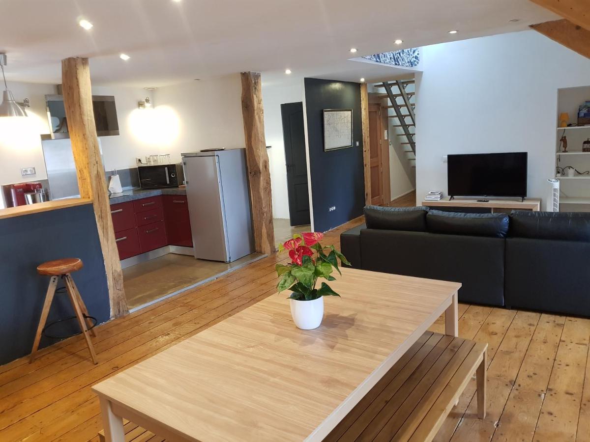 Apartmán Loft Dans Les Pyrenees Oloron-Sainte-Marie Exteriér fotografie