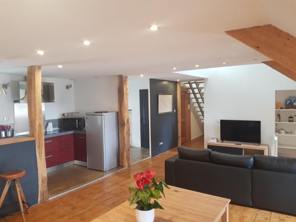 Apartmán Loft Dans Les Pyrenees Oloron-Sainte-Marie Exteriér fotografie